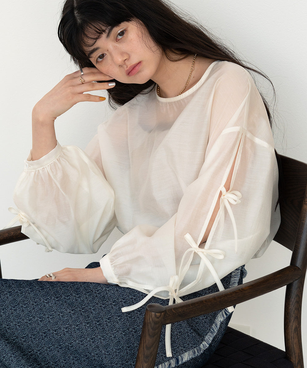 SLEEVE RIBBON SHEER BLOUSE