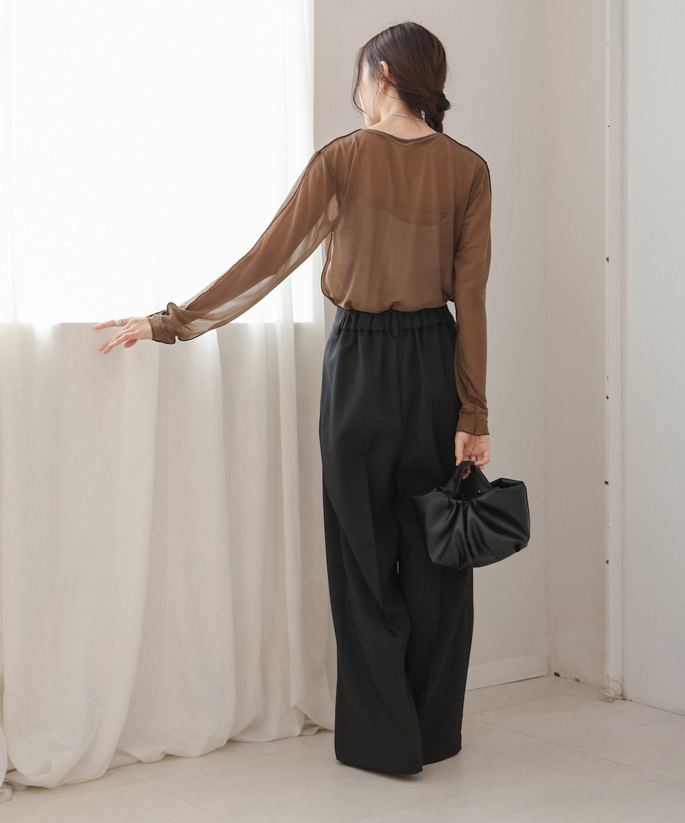 BASIC SHEER TOPS